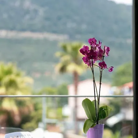 Διαμέρισμα Angelo Suites *