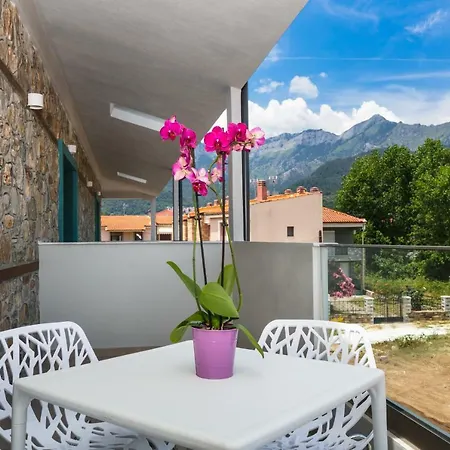 Angelo Suites * Σκάλα Ποταμιάς
