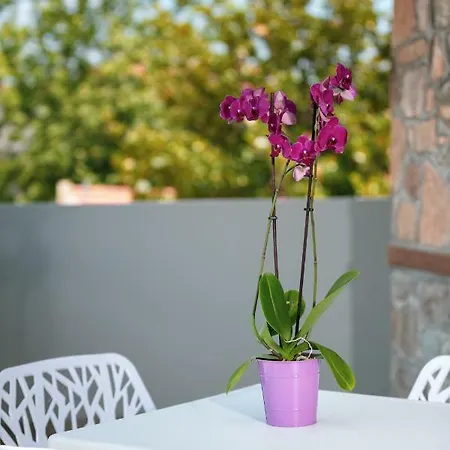 Angelo Suites Διαμέρισμα *